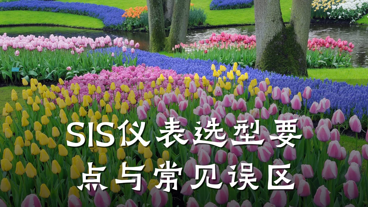 SIS仪表选型要点与常见误区