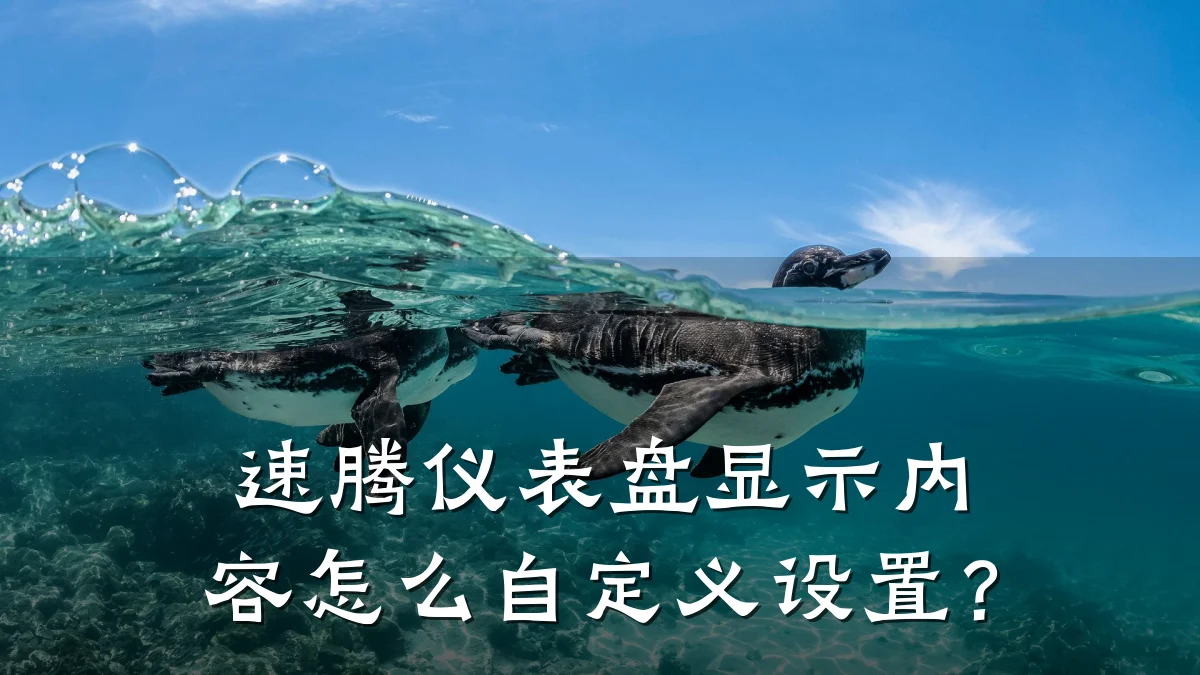 速腾仪表盘显示内容怎么自定义设置？