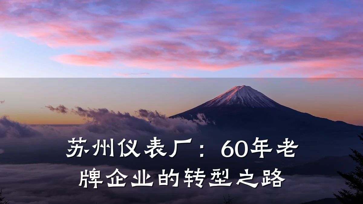 苏州仪表厂：60年老牌企业的转型之路