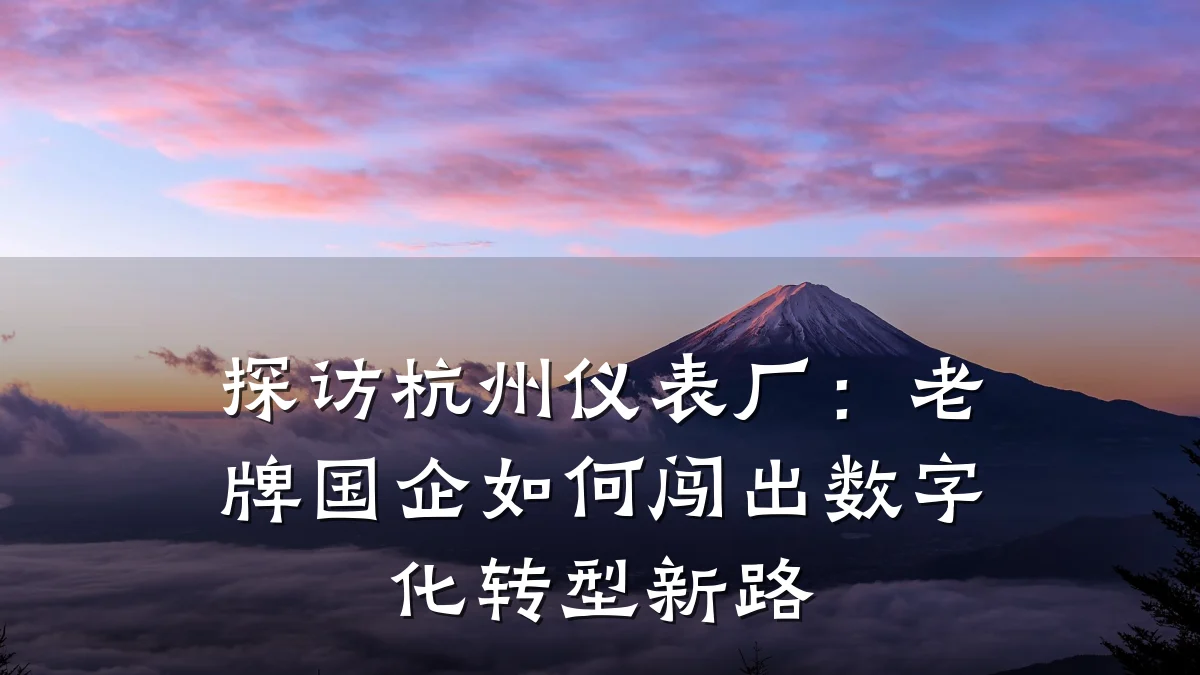 探访杭州仪表厂：老牌国企如何闯出数字化转型新路