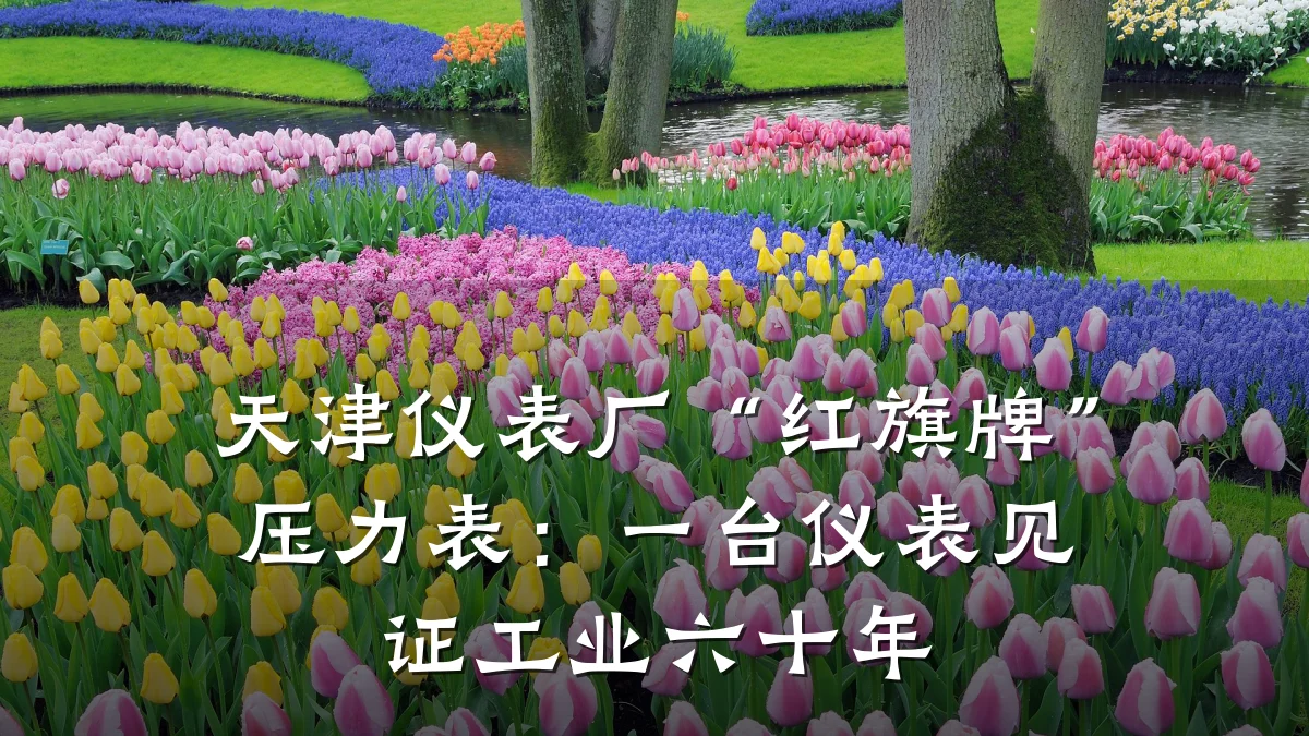 天津仪表厂“红旗牌”压力表:一台仪表见证工业六十年