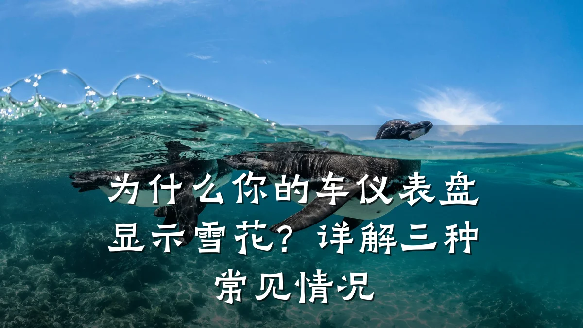 为什么你的车仪表盘显示雪花?详解三种常见情况