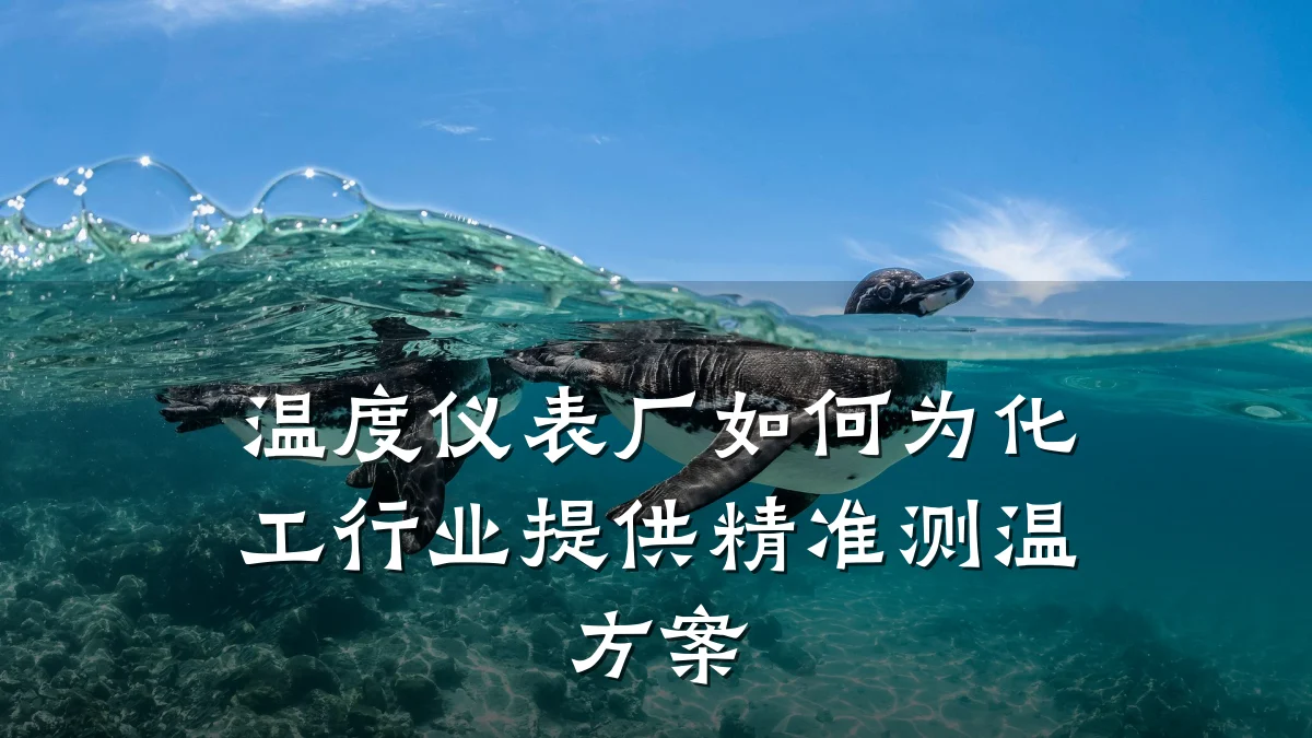 温度仪表厂如何为化工行业提供精准测温方案