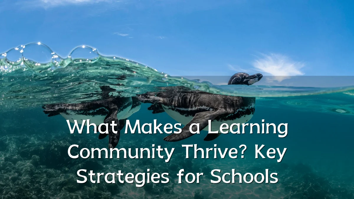 What Makes a Learning Community Thrive? Key Strategies for Schools