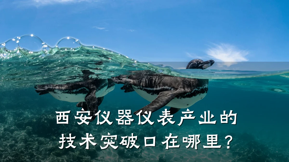 西安仪器仪表产业的技术突破口在哪里?