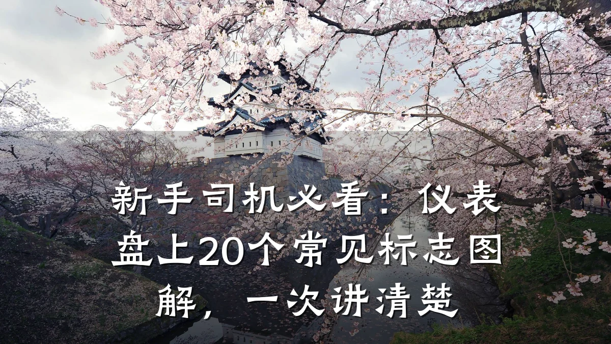 新手司机必看：仪表盘上20个常见标志图解，一次讲清楚