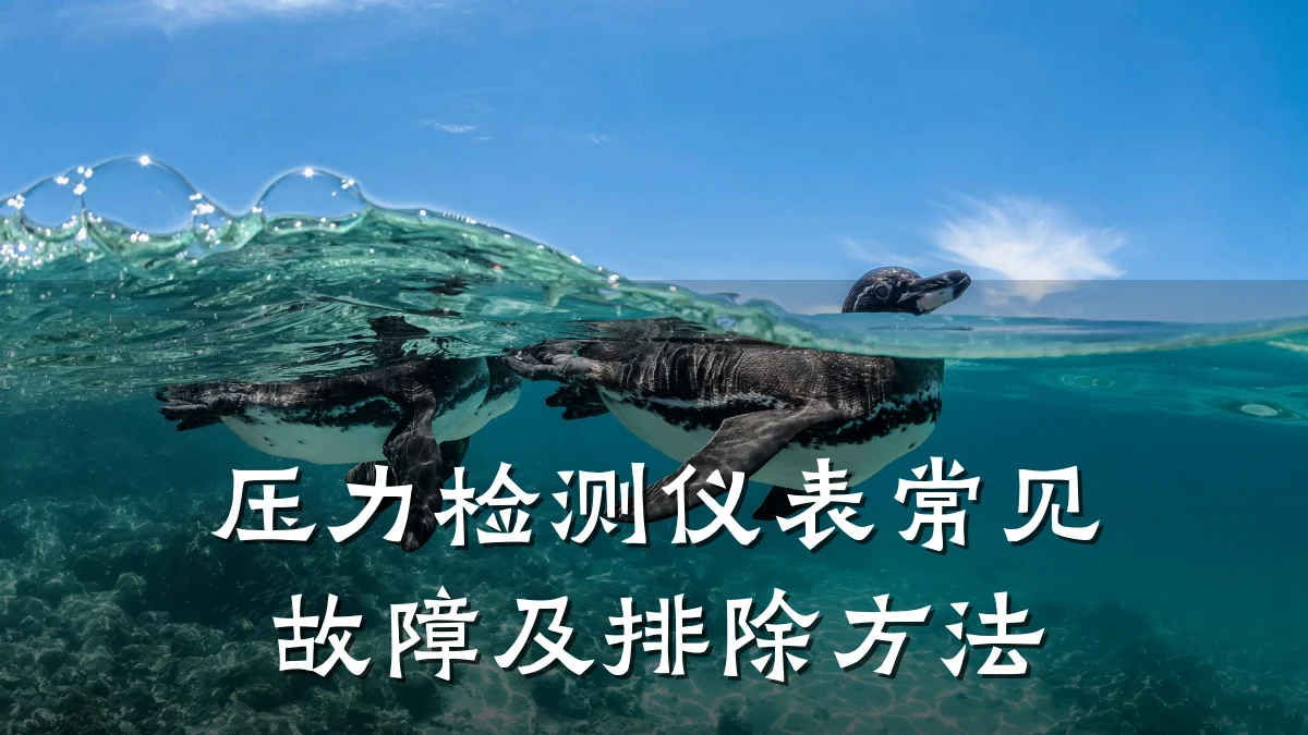 压力检测仪表常见故障及排除方法