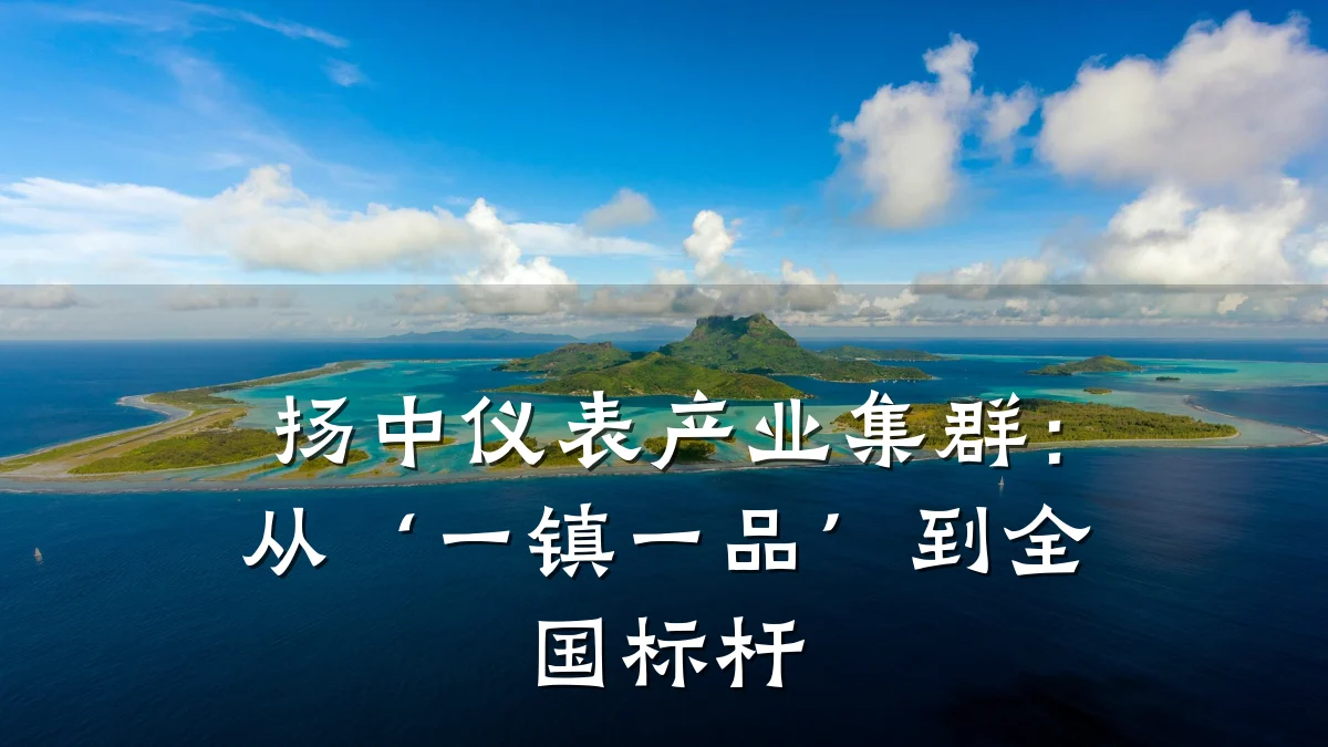 扬中仪表产业集群:从‘一镇一品’到全国标杆