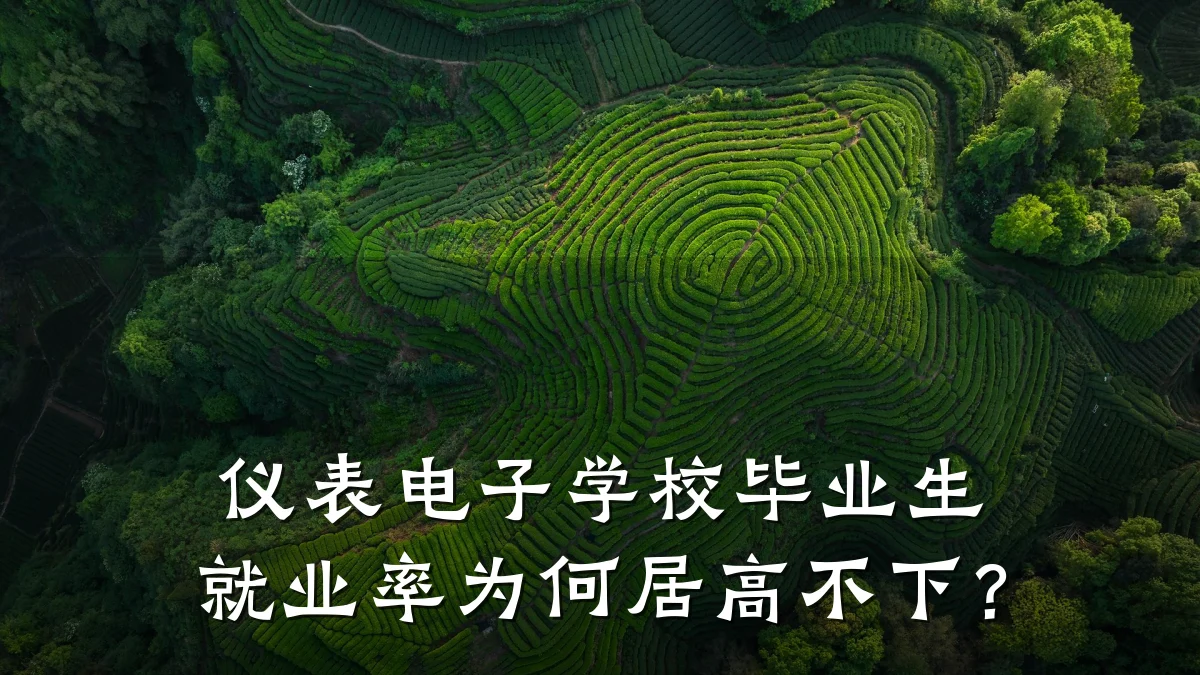 仪表电子学校毕业生就业率为何居高不下？