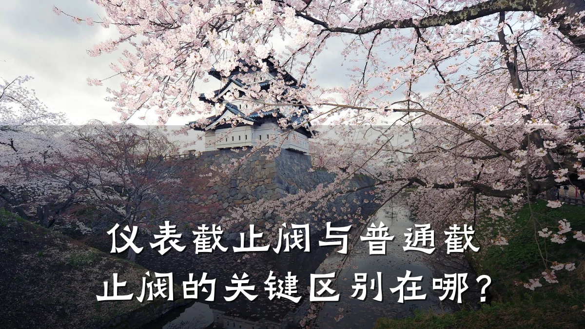 仪表截止阀与普通截止阀的关键区别在哪?