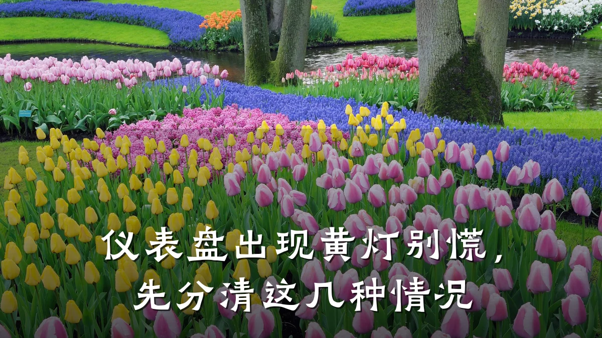 仪表盘出现黄灯别慌，先分清这几种情况