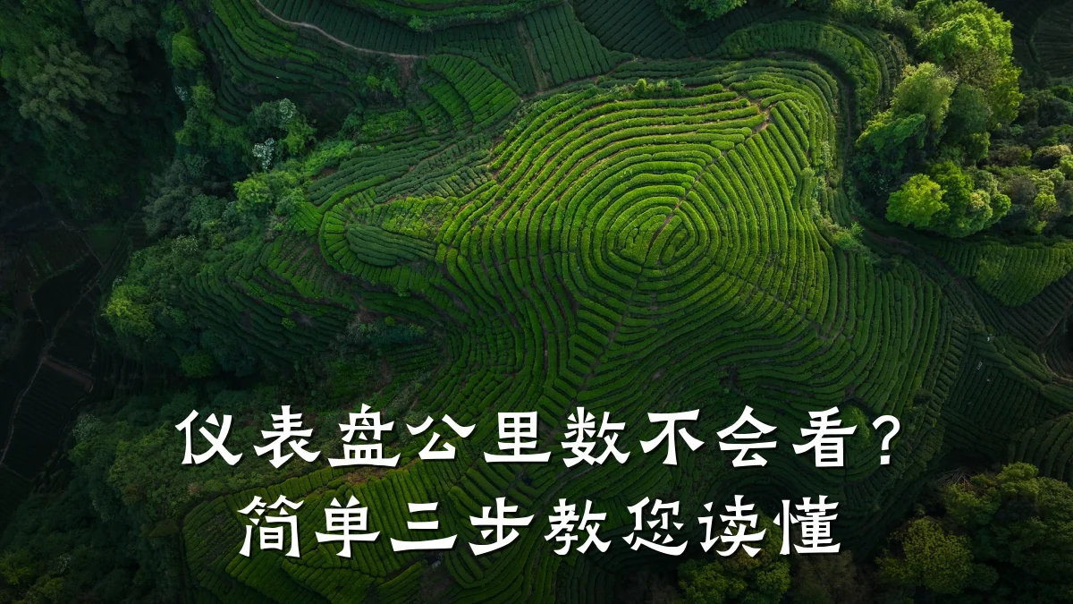 仪表盘公里数不会看？简单三步教您读懂
