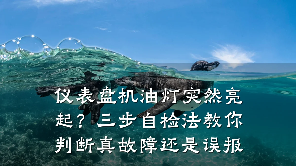仪表盘机油灯突然亮起?三步自检法教你判断真故障还是误报