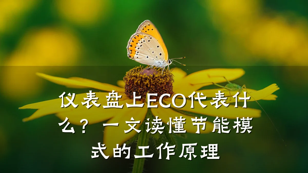 仪表盘上ECO代表什么？一文读懂节能模式的工作原理