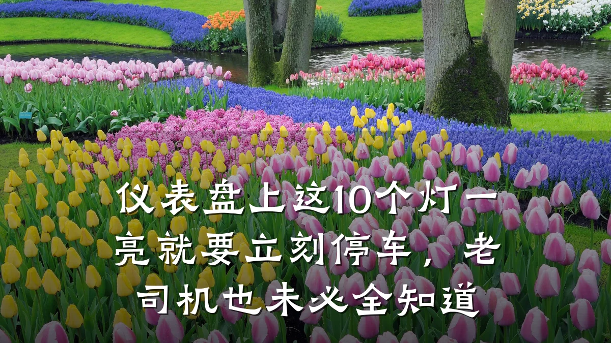 仪表盘上这10个灯一亮就要立刻停车,老司机也未必全知道