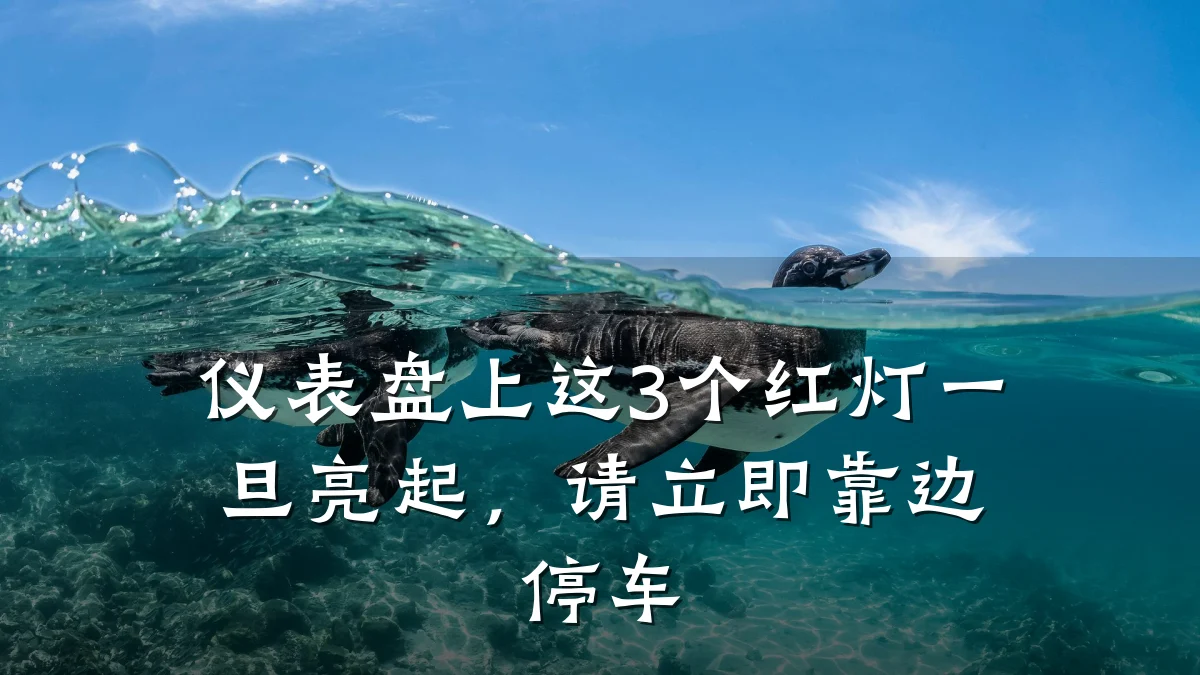 仪表盘上这3个红灯一旦亮起,请立即靠边停车
