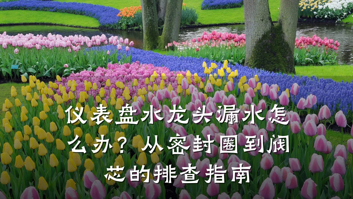 仪表盘水龙头漏水怎么办?从密封圈到阀芯的排查指南