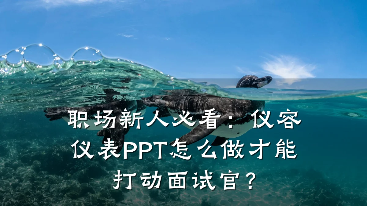 职场新人必看：仪容仪表PPT怎么做才能打动面试官？