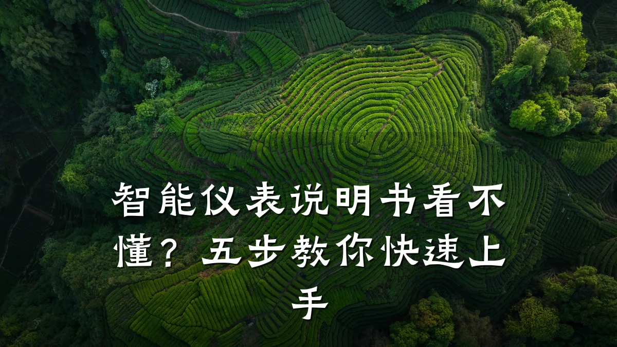 智能仪表说明书看不懂?五步教你快速上手