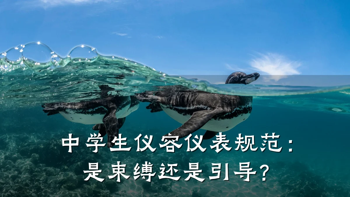 中学生仪容仪表规范:是束缚还是引导?