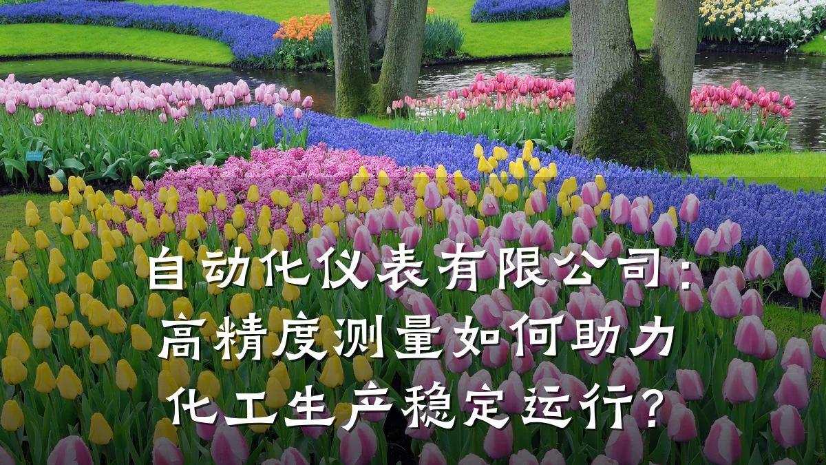 自动化仪表有限公司:高精度测量如何助力化工生产稳定运行?