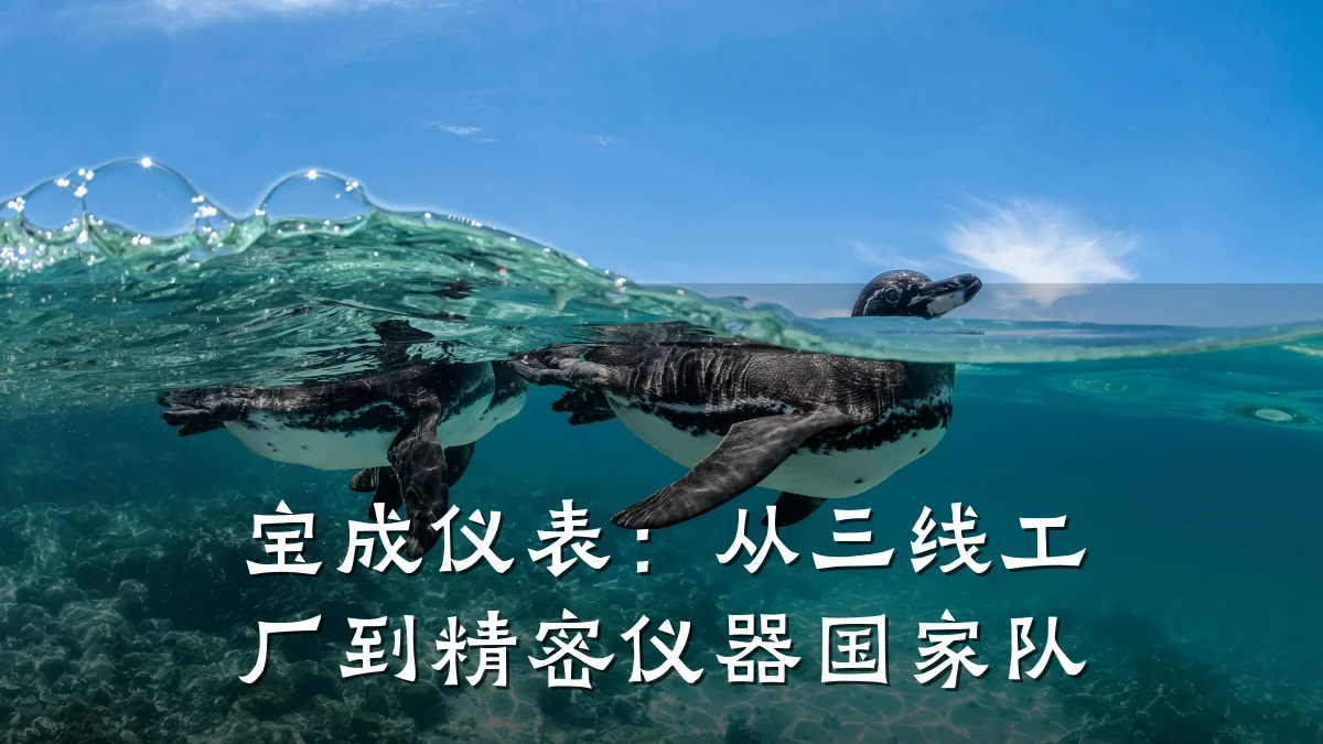 宝成仪表:从三线工厂到精密仪器国家队
