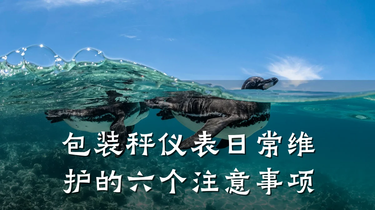 包装秤仪表日常维护的六个注意事项