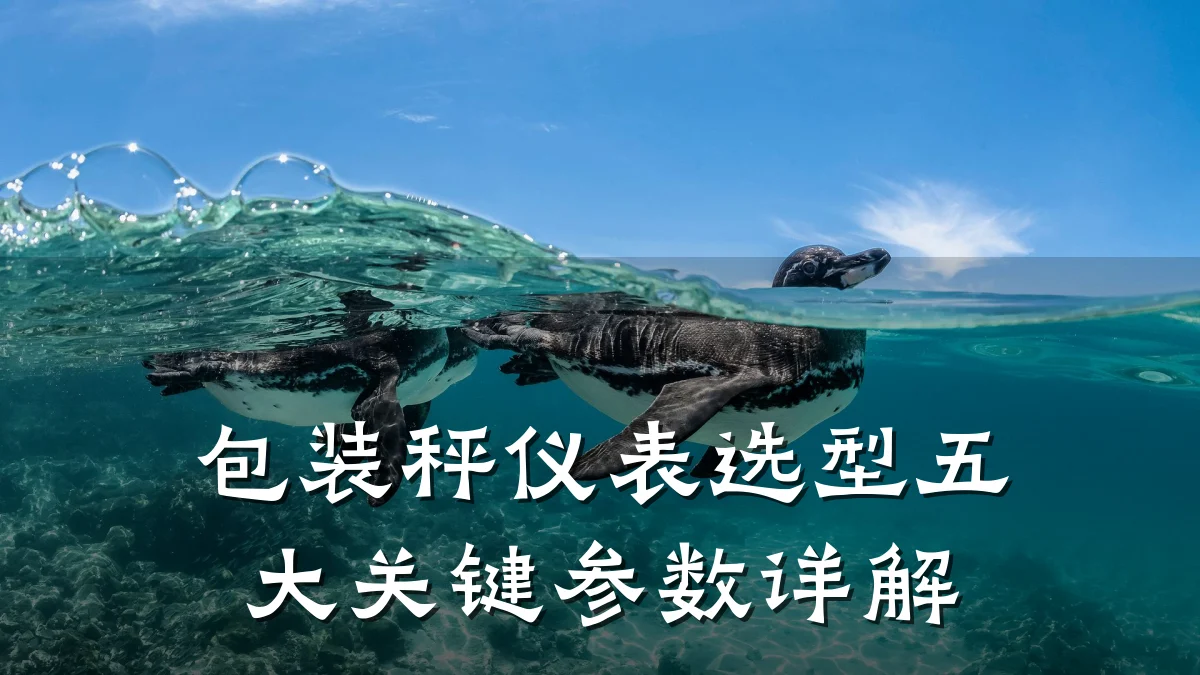 包装秤仪表选型五大关键参数详解