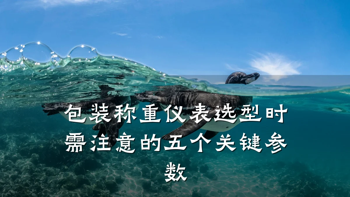 包装称重仪表选型时需注意的五个关键参数
