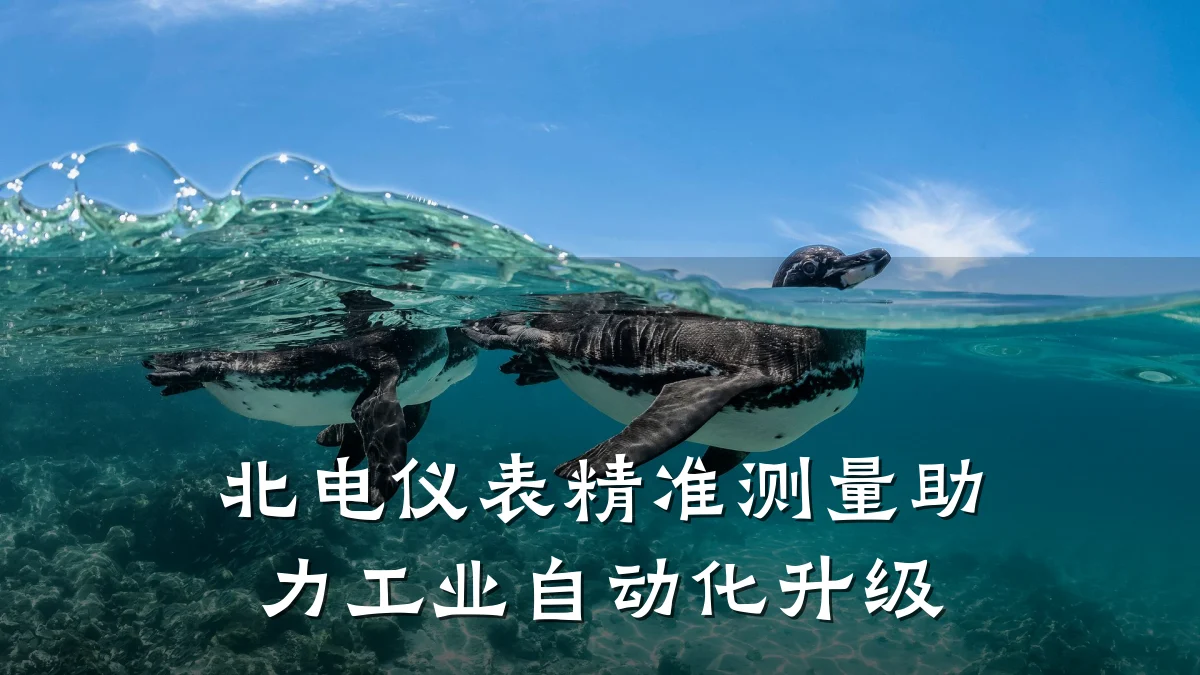 北电仪表精准测量助力工业自动化升级