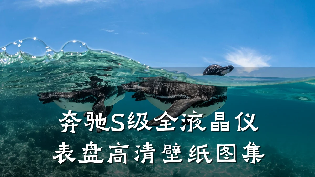 奔驰S级全液晶仪表盘高清壁纸图集