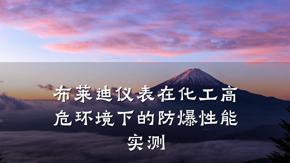 布莱迪仪表在化工高危环境下的防爆性能实测