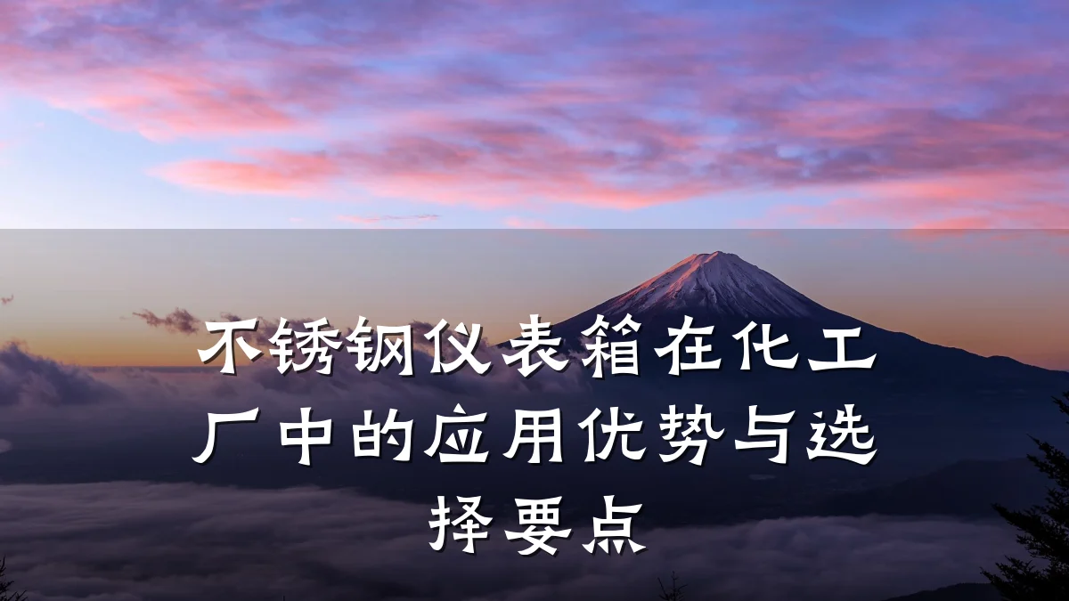 不锈钢仪表箱在化工厂中的应用优势与选择要点