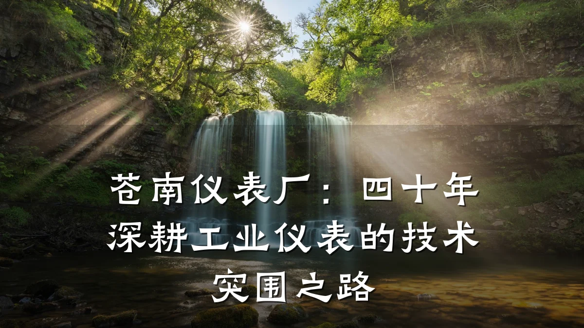 苍南仪表厂:四十年深耕工业仪表的技术突围之路