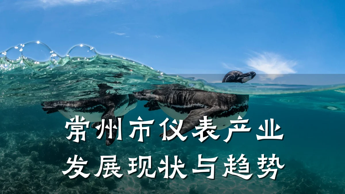 常州市仪表产业发展现状与趋势