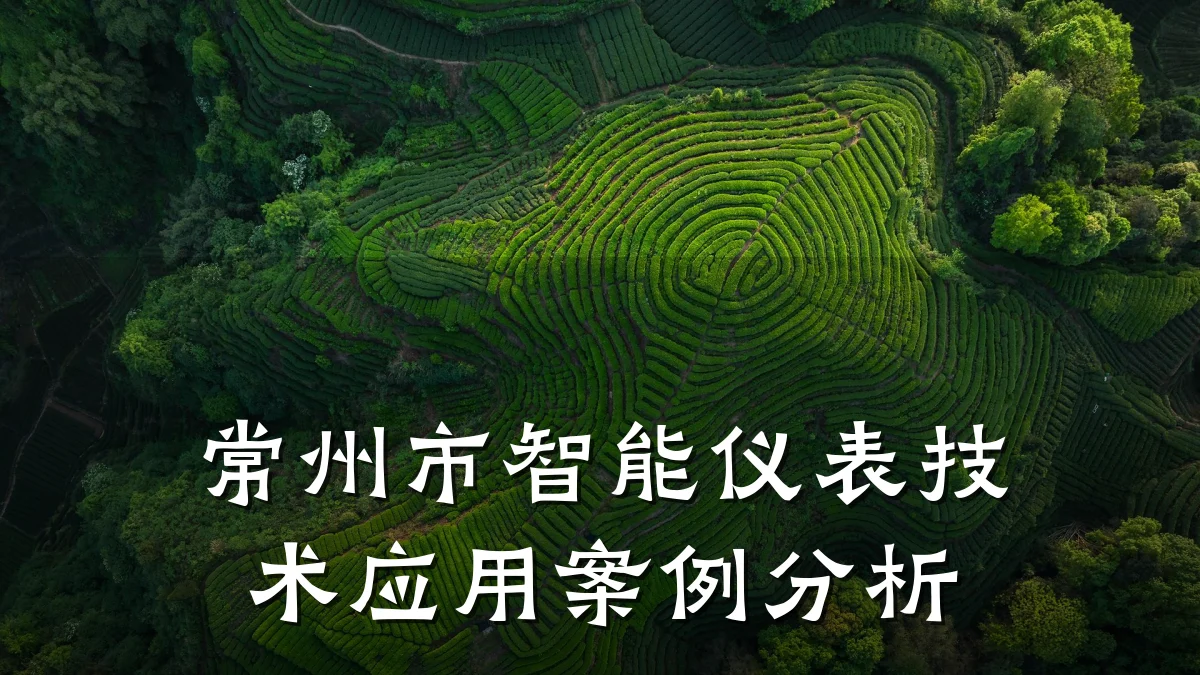 常州市智能仪表技术应用案例分析