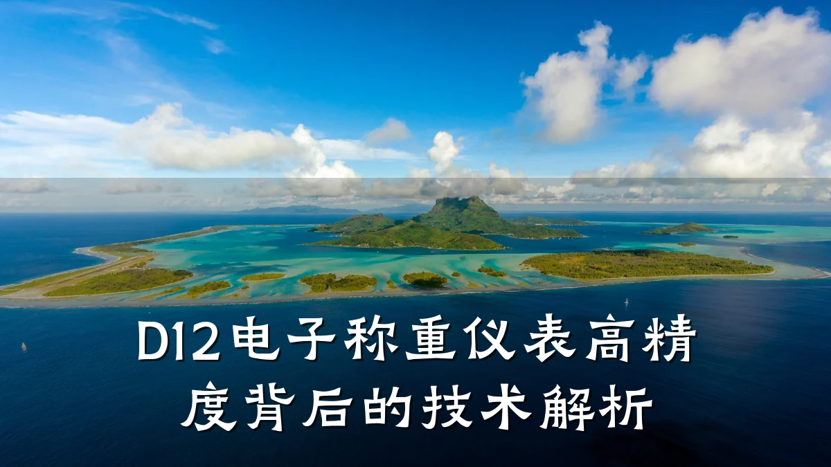 D12电子称重仪表高精度背后的技术解析