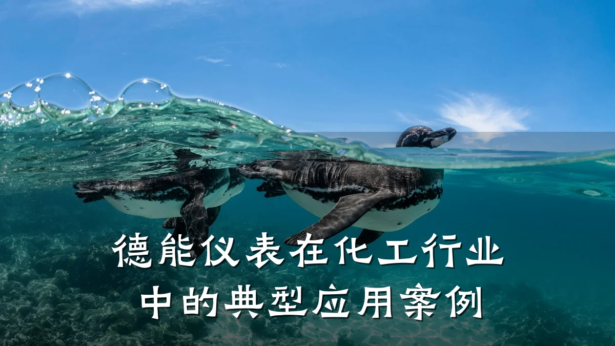 德能仪表在化工行业中的典型应用案例