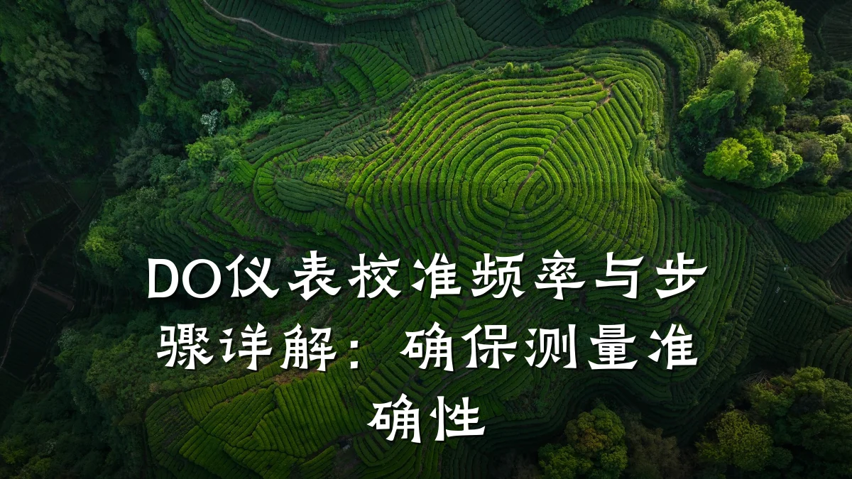 DO仪表校准频率与步骤详解:确保测量准确性