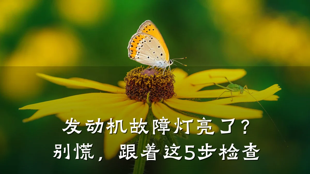 发动机故障灯亮了?别慌,跟着这5步检查