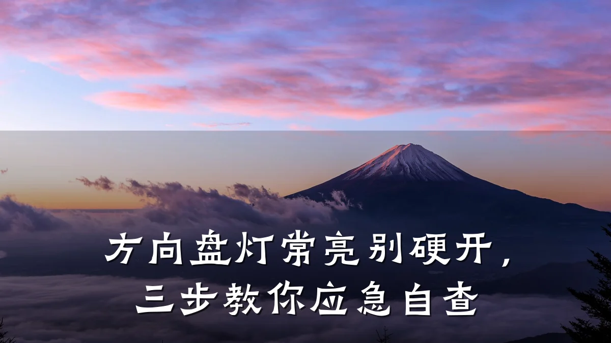 方向盘灯常亮别硬开,三步教你应急自查
