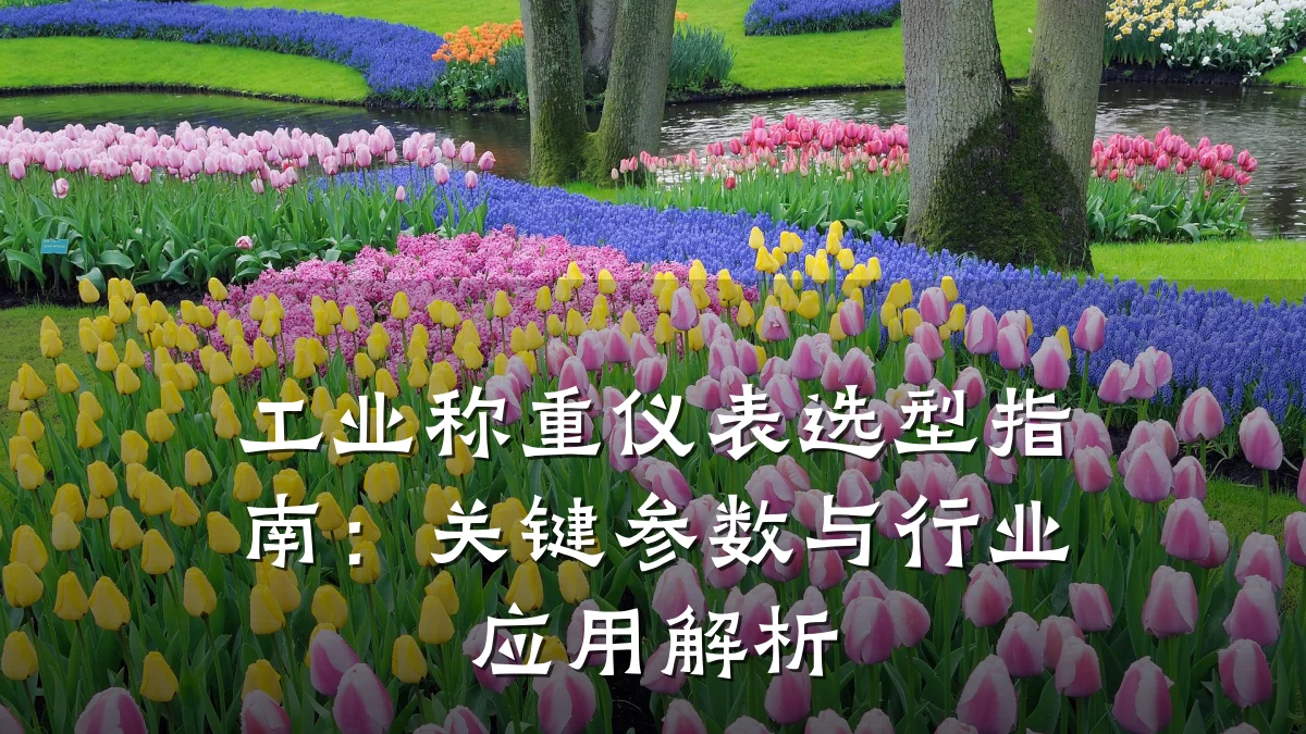 工业称重仪表选型指南:关键参数与行业应用解析
