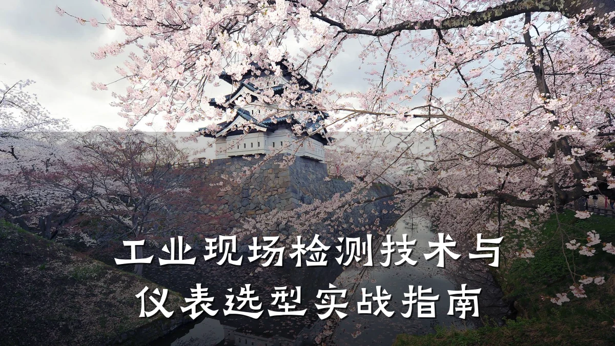 工业现场检测技术与仪表选型实战指南