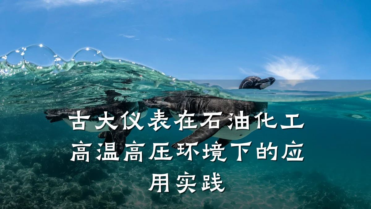 古大仪表在石油化工高温高压环境下的应用实践
