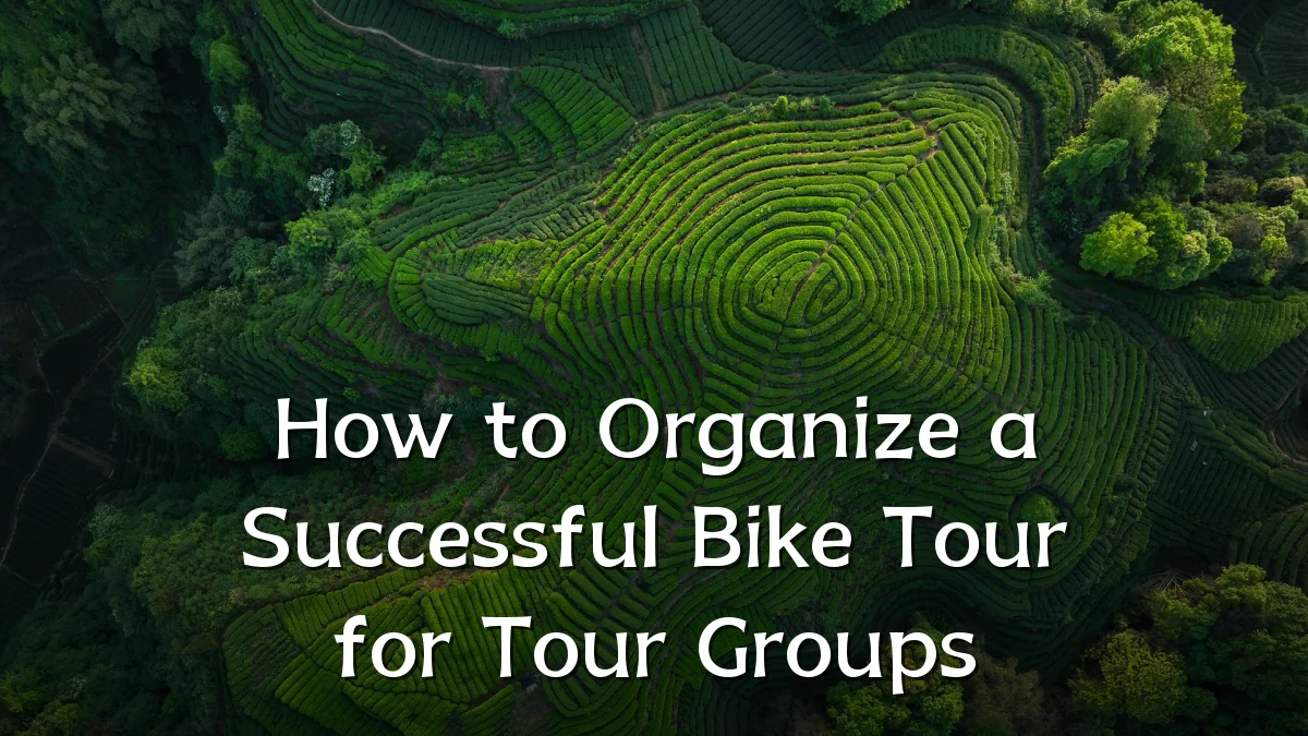 How to Organize a Successful Bike Tour for Tour Groups