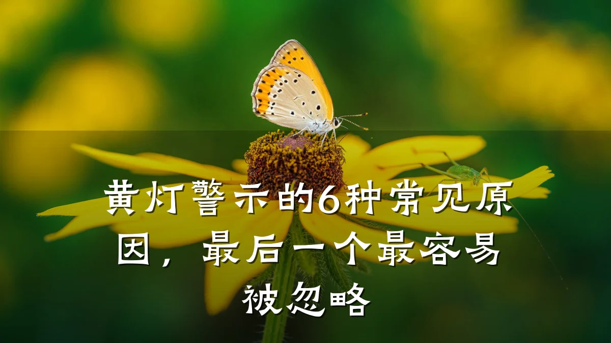 黄灯警示的6种常见原因,最后一个最容易被忽略
