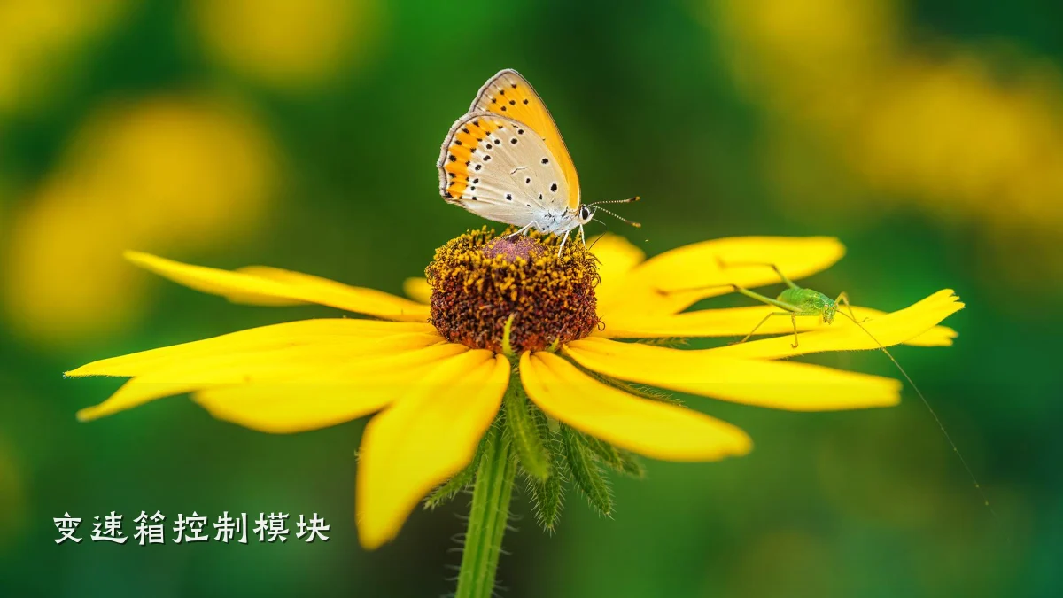 变速箱控制模块