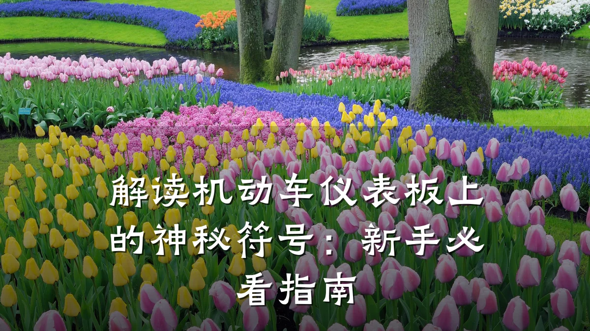解读机动车仪表板上的神秘符号:新手必看指南