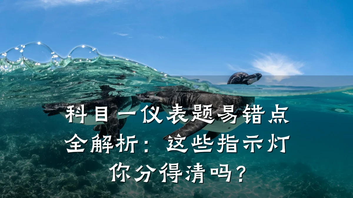 科目一仪表题易错点全解析:这些指示灯你分得清吗?