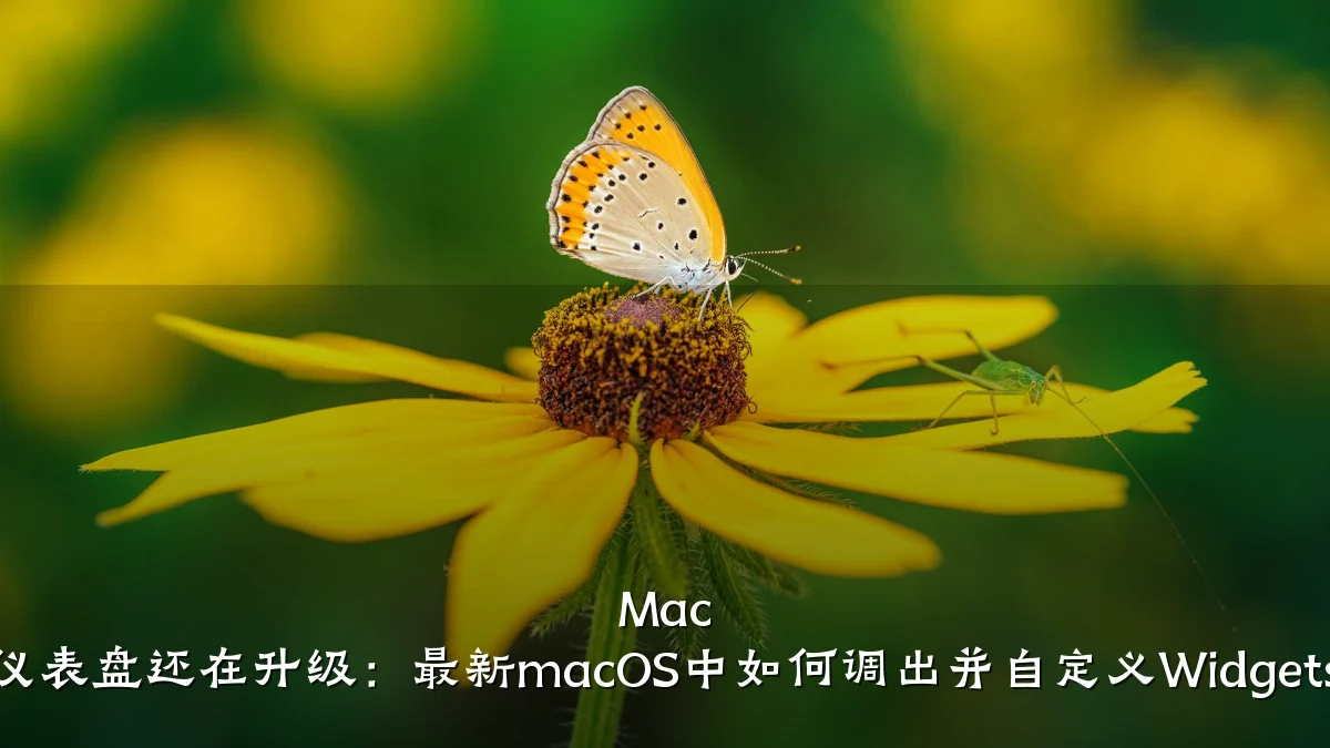 Mac 仪表盘还在升级:最新macOS中如何调出并自定义Widgets